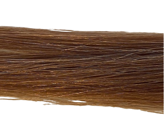 BALMAIN Extensions - Fill-in Straight 55-60 cm - 10 Stuks