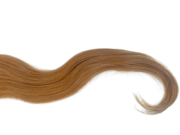 BALMAIN Extensions - Fill-in Natural Straight 40 cm - 10 Stuks