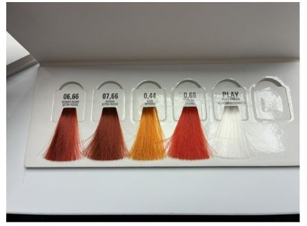 AXENIA Lab Kleurkaart - Lokjes