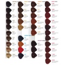 EXTREMO Nuancier - Couleurs Permanentes B-color & technic